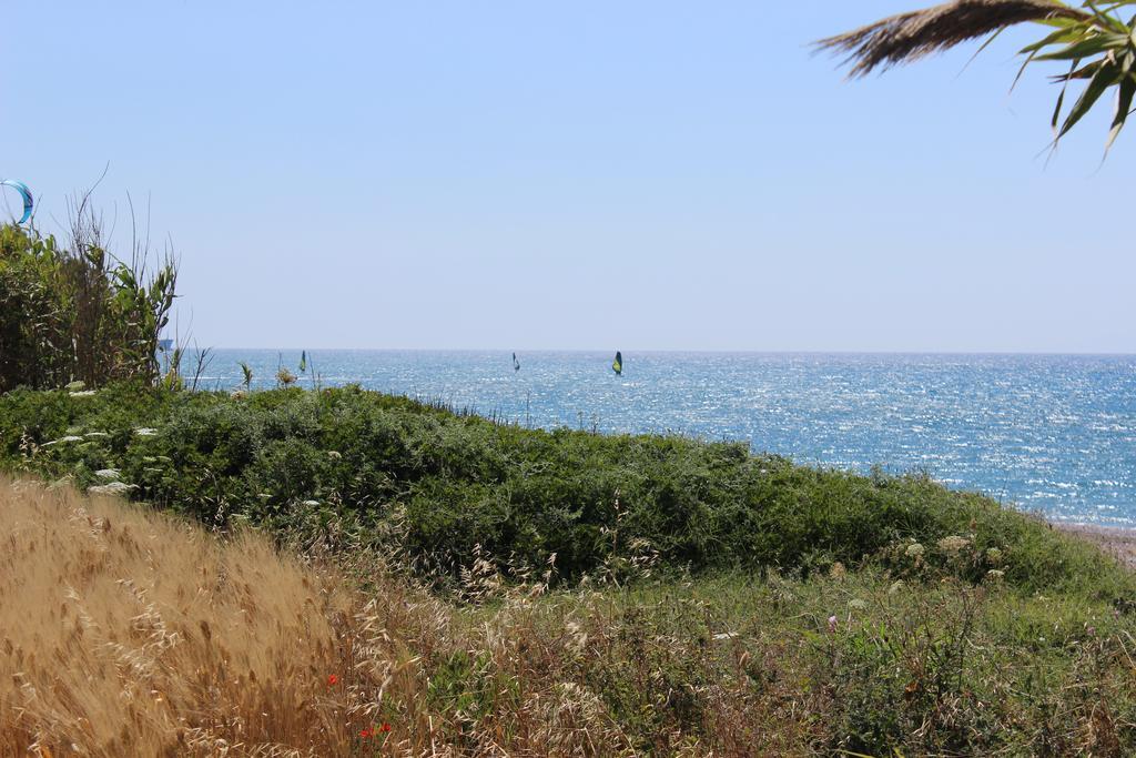 Corellia Asterias Beach Hotel Theológos Eksteriør billede