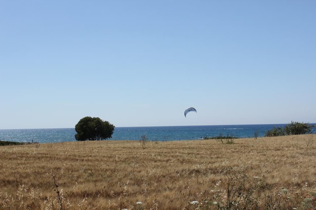 Corellia Asterias Beach Hotel Theológos Eksteriør billede